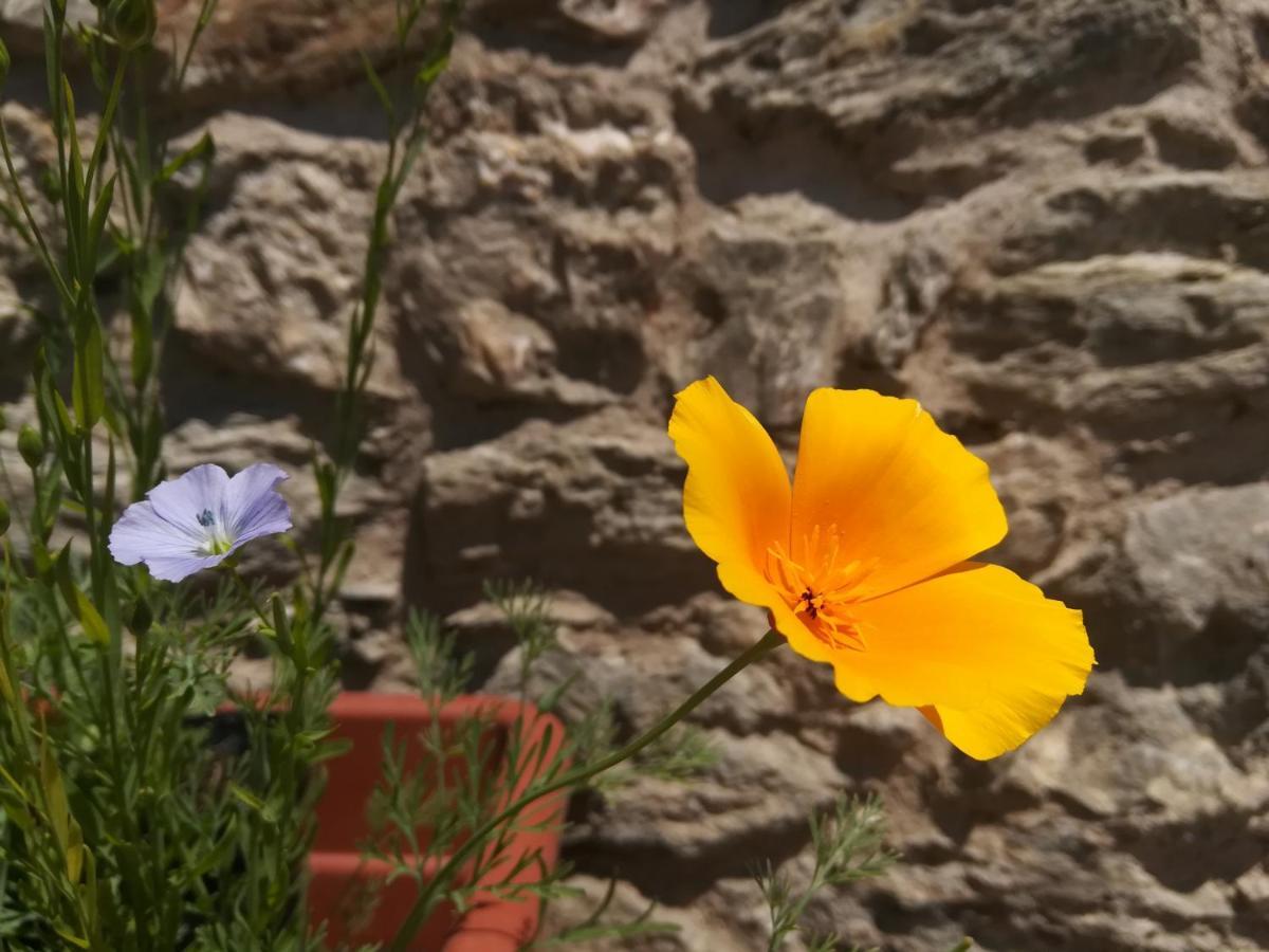 Comèlico Superiore B&B Cedavecia מראה חיצוני תמונה